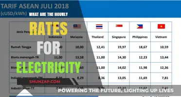 Electricity Pricing: Hourly Rates and Their Impact
