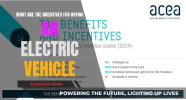 Green Incentives: Why Go Electric?