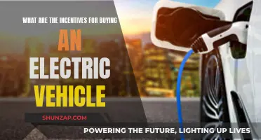 Why You Should Consider an Electric Vehicle