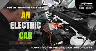 Challenges of Owning an Electric Vehicle: Maintenance and Long-Term Concerns