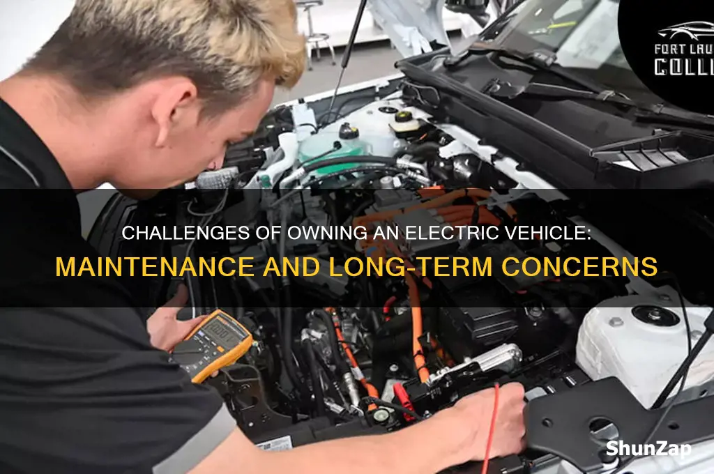 what are the issues with maintaining an electric car