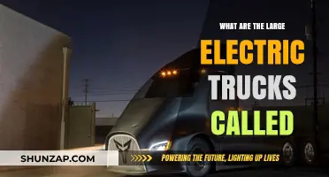 Electric Behemoths: The Future of Freight Transportation