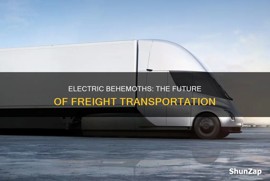 what are the large electric trucks called