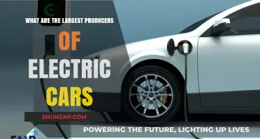 Top Electric Car Manufacturers Dominating the Global EV Market