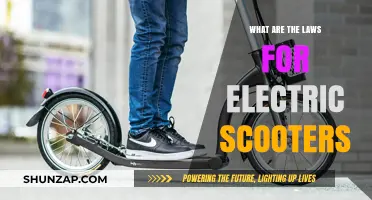 Electric Scooter Laws: Know Your Ride's Rights