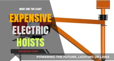 Affordable Electric Hoists: Top Money-Saving Options