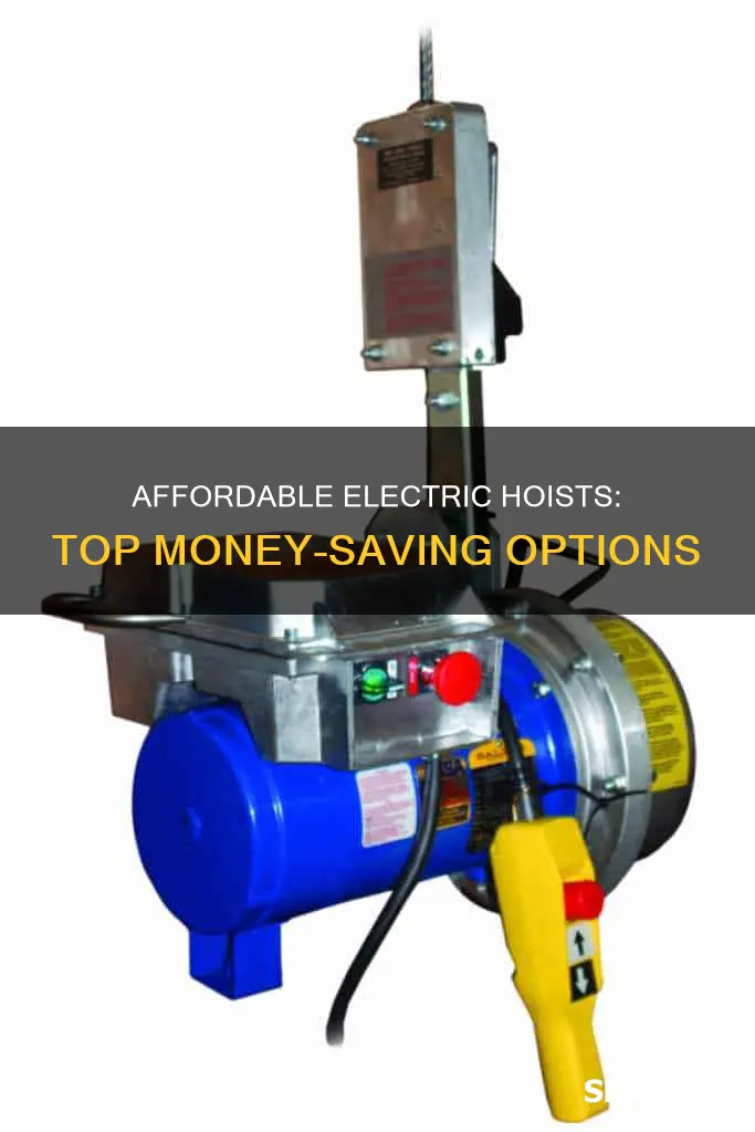 what are the least expensive electric hoists