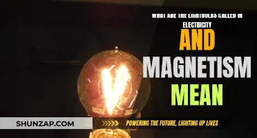 Understanding the Basics of Lightbulbs in Electromagnetism