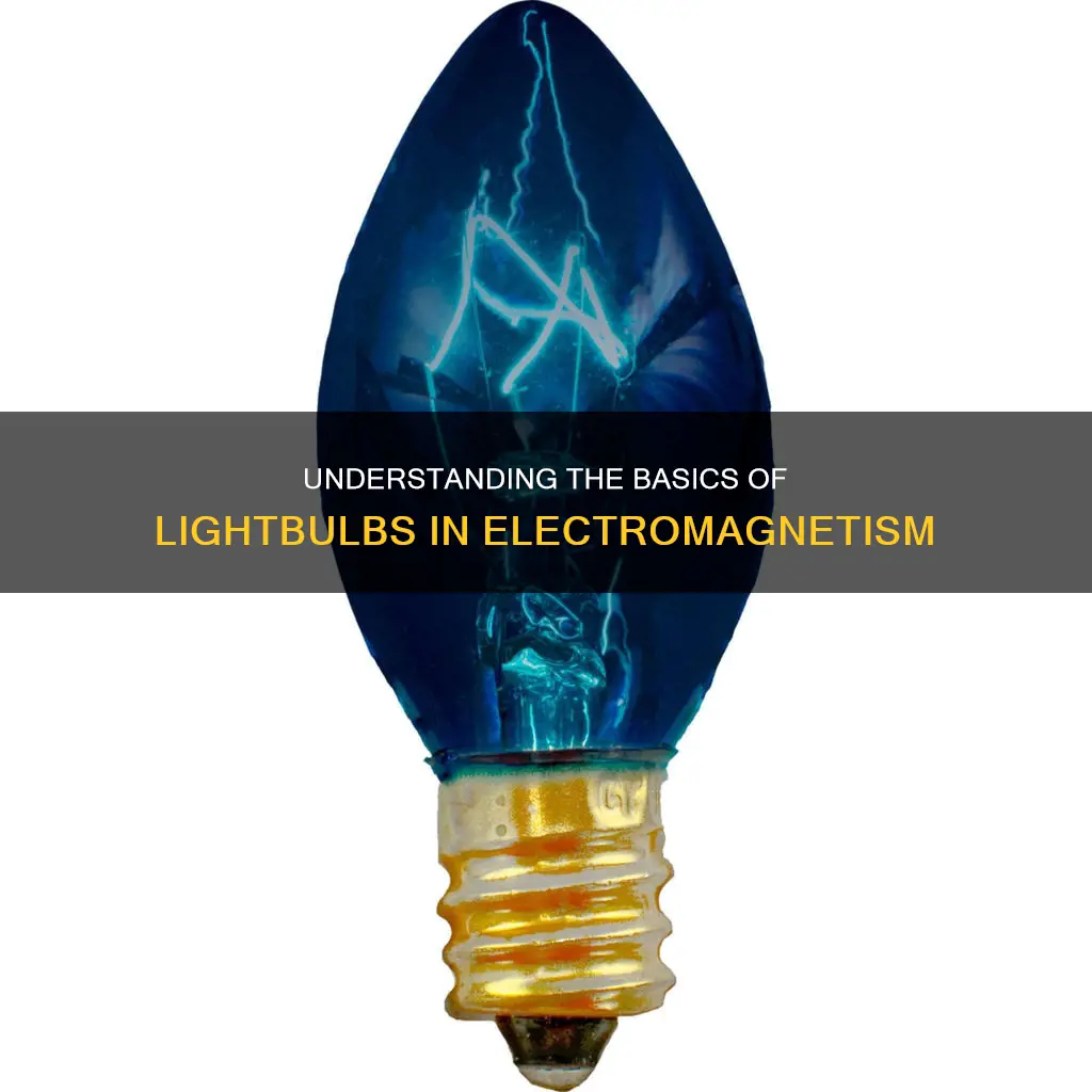 what are the lightbulbs called in electricity and magnetism mean