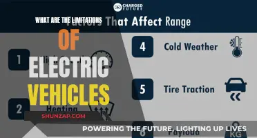 Beyond the Range: Uncovering EV's Hidden Limitations