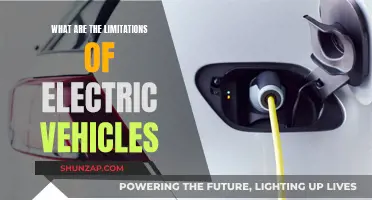 Electric Vehicles: Limitations and the Long Road Ahead