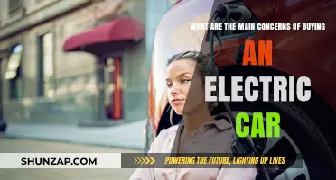 Electric Car Purchase Concerns: Range, Charging, Cost, and Resale Value
