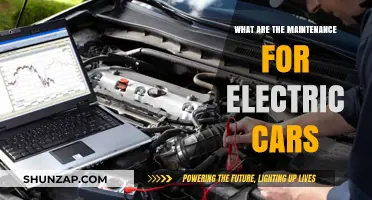 Essential Electric Car Maintenance Tips for Longevity and Performance