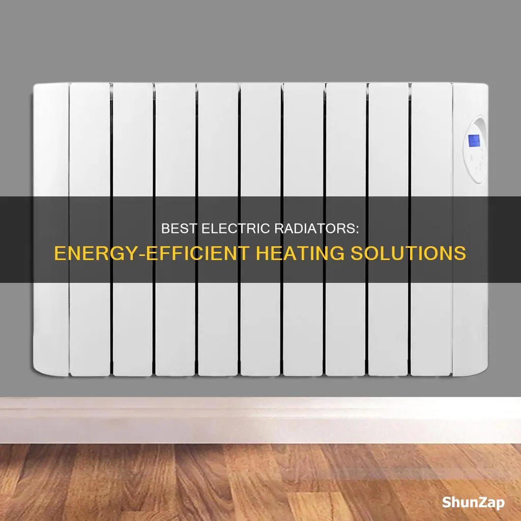 what are the most economical electric radiators