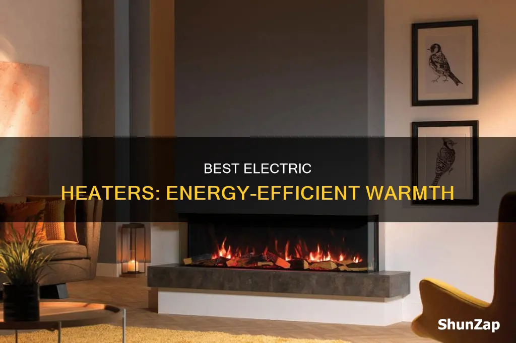 what are the most efficient electric heaters