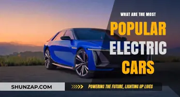 Top Electric Cars Dominating the Market: A Comprehensive Guide