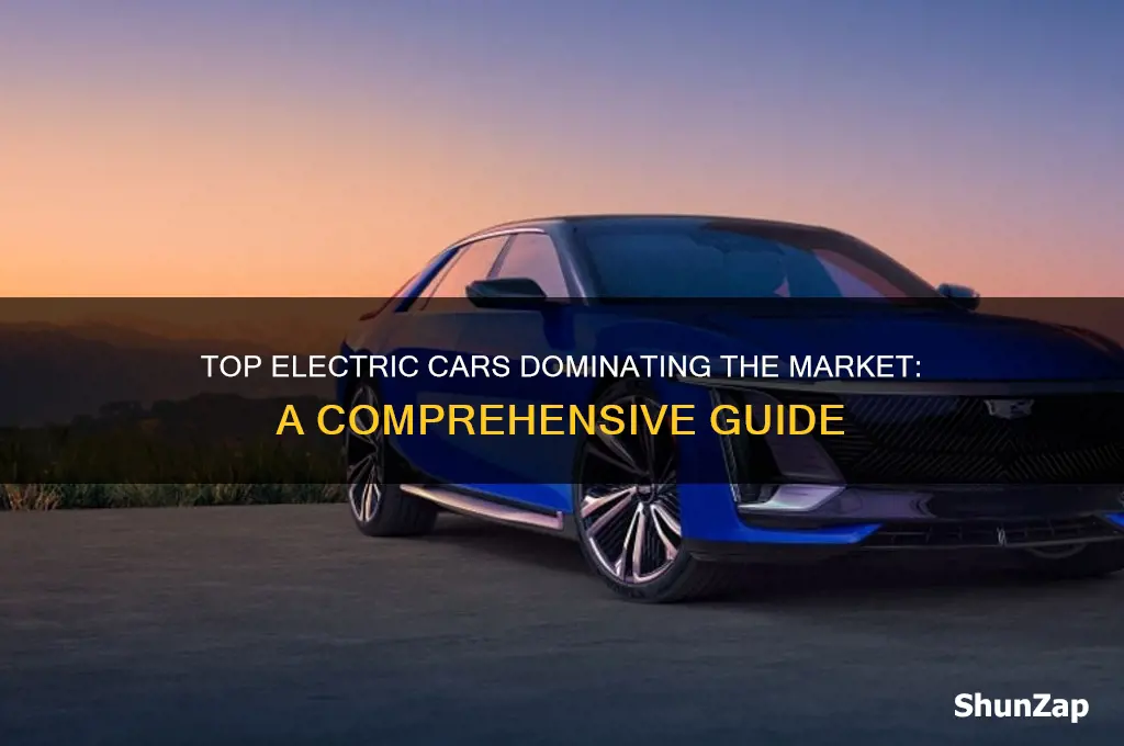 what are the most popular electric cars
