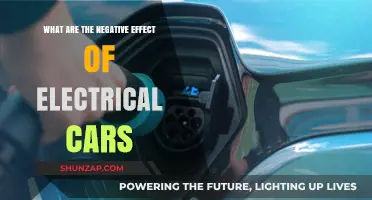 Electric Vehicles' Hidden Downsides: Environmental and Practical Challenges Explored