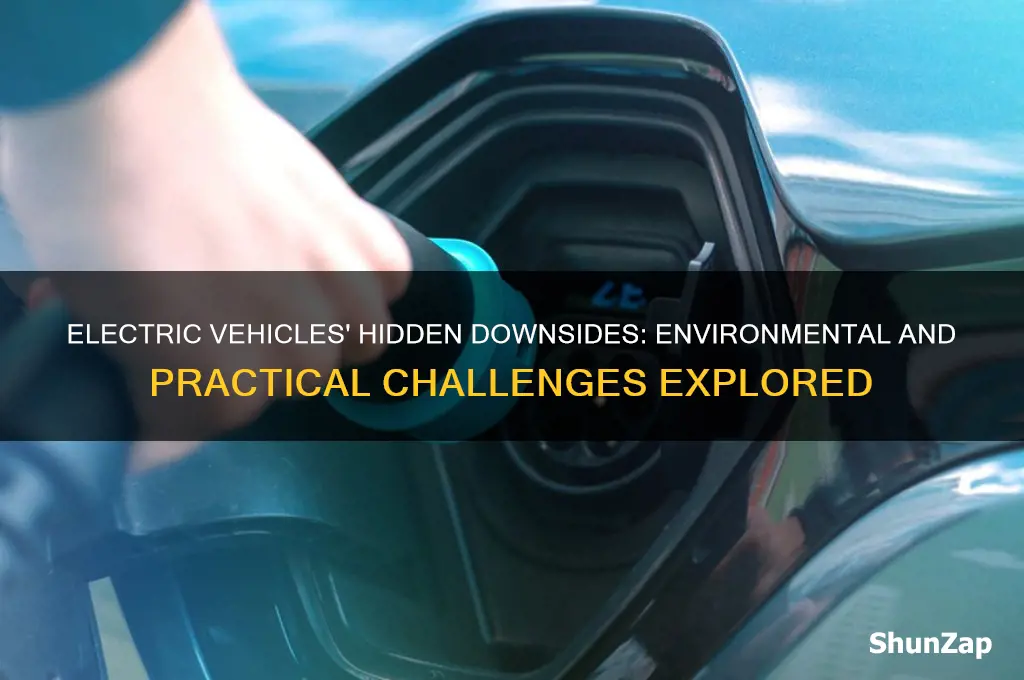 what are the negative effect of electrical cars