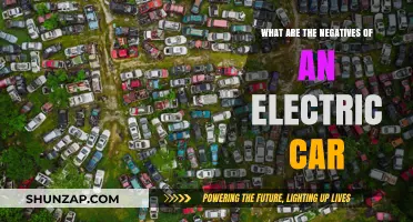 Electric Cars: Uncovering the Hidden Downsides and Challenges