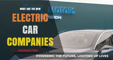 Emerging Electric Car Companies: The New Players in the EV Market