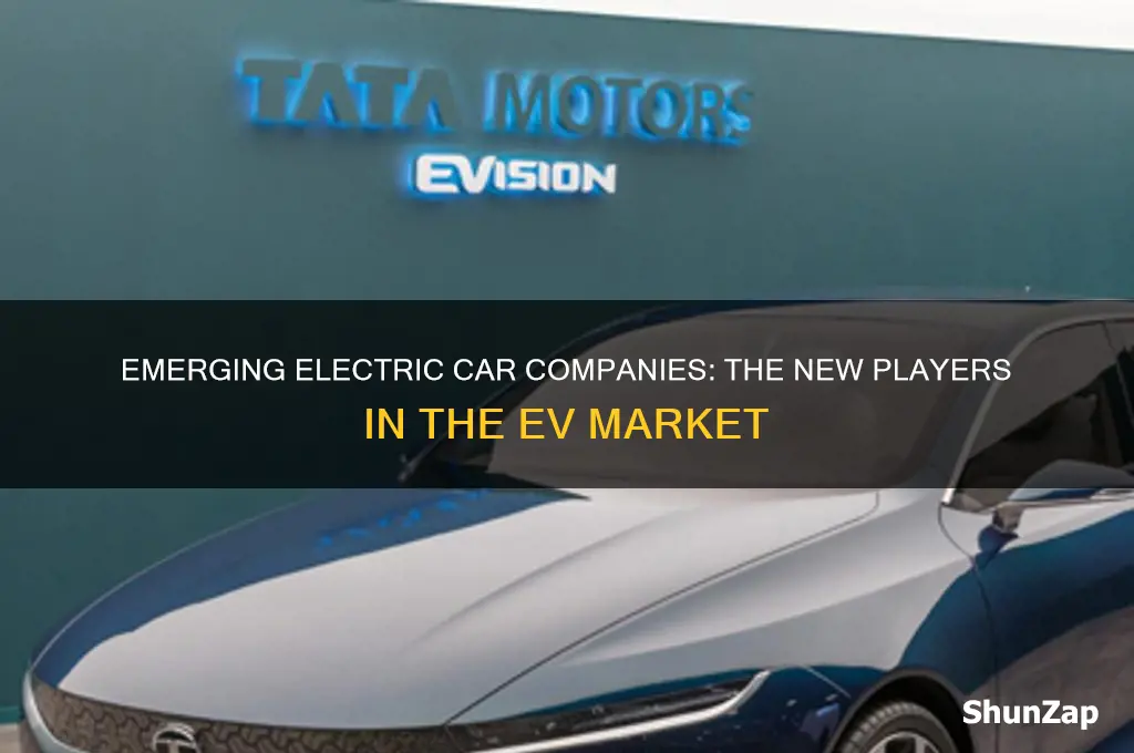 what are the new electric car companies