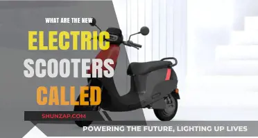 Electric Scooters: What's in a Name?