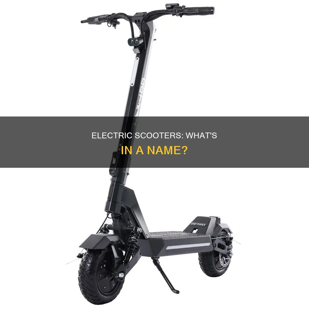 what are the new electric scooters called