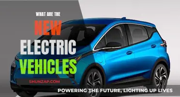 The Buzzing EV Revolution: Exploring New Electric Vehicles