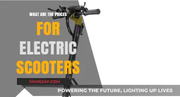 Electric Scooters: How Much Do They Cost?