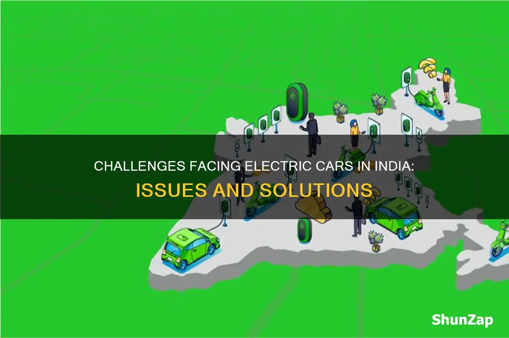 what are the problems in electric cars in india