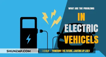 Electric Vehicles: Problems and Challenges