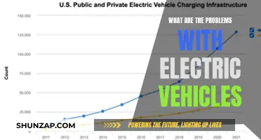 Unraveling the Challenges: Electric Vehicles' Hidden Hurdles