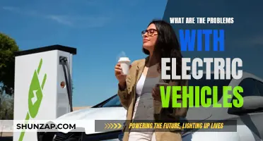 The Challenges of Electric Vehicles: Problems and Solutions