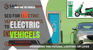 Electric Vehicles: Problems and Challenges Ahead