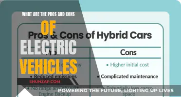 Electric Revolution: Weighing the Benefits and Drawbacks of EVs