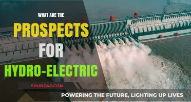 Hydro-Electricity: Powering a Green Future?