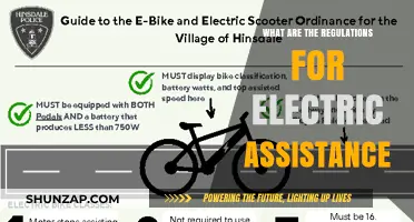 Electric Assistance: Understanding the Regulatory Landscape