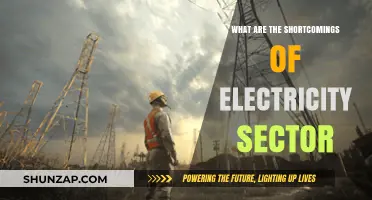 Electricity Sector: Challenges and Shortcomings