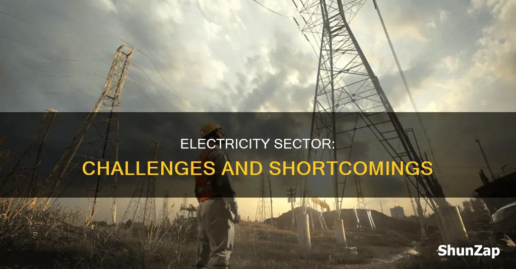 what are the shortcomings of electricity sector