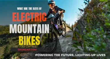 Mountain Bike Sizes: Electric Options and Their Fit