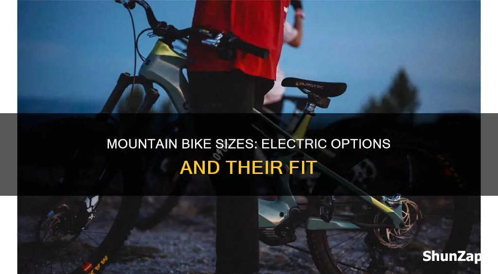 what are the sizes of electric mountain bikes