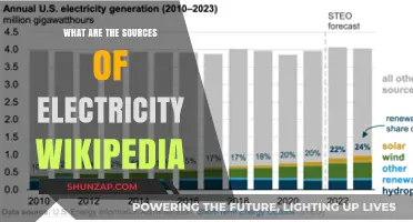 Electricity Sources: A Comprehensive Overview