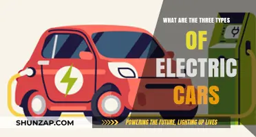 Exploring the Three Main Types of Electric Vehicles Available Today