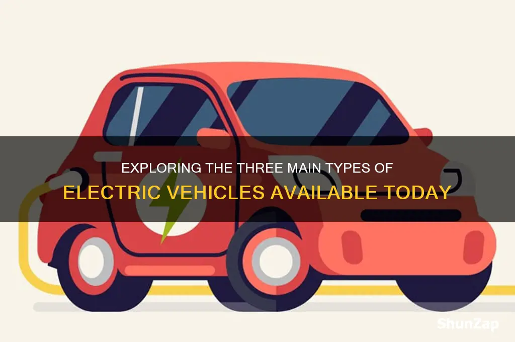 what are the three types of electric cars