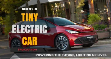 Exploring Tiny Electric Cars: Compact, Eco-Friendly Urban Mobility Solutions