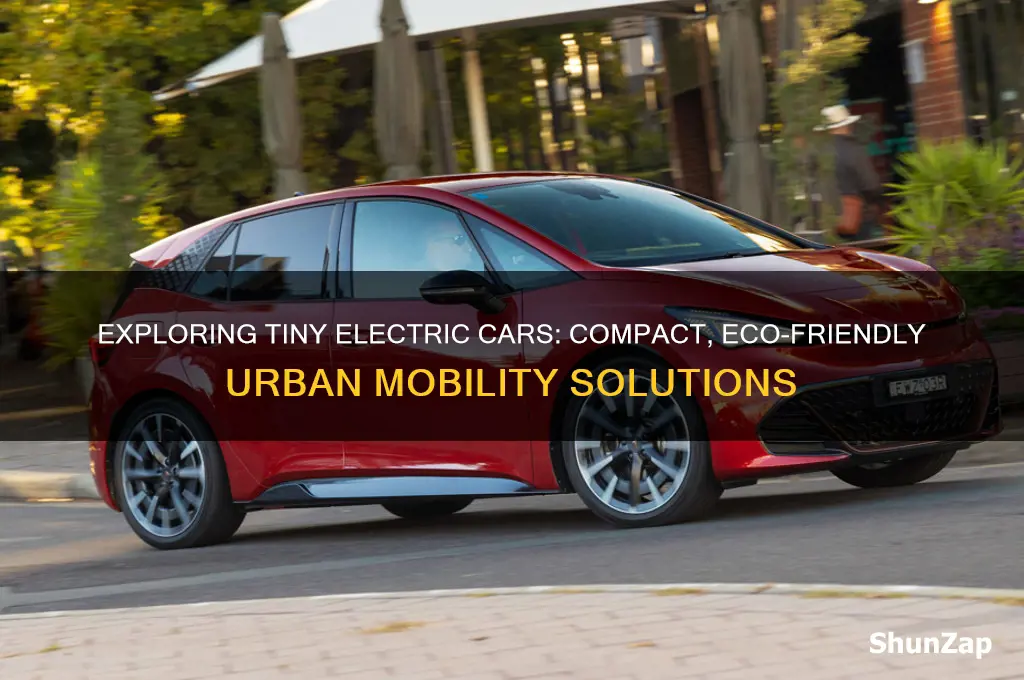 what are the tiny electric car