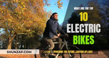 Best Electric Bikes: Top 10 Picks for Your Next Ride