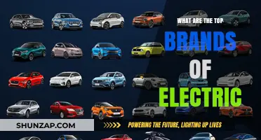 Best Electric Vehicle Brands: Top Contenders for the Road