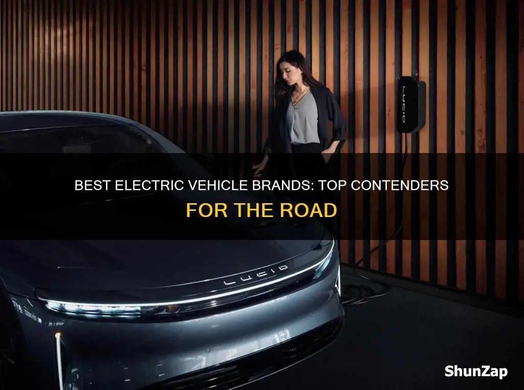 what are the top brands of electric